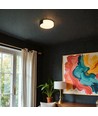 Plafonnier LED décoratif 45cm 48W - CCT 3-en-1, dimmable, noir, avec télécommande