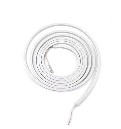 Ruban RGBIC 5m 10x10 16W/m - 24V DC, IP67, 96 LED par mètre