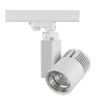 Spot LED sur rail 30W - triphasé, blanc, pour viande