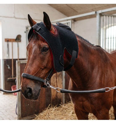 Bonnet de thérapie par lumière rouge pour chevaux - Infrarouge, batterie et powerbank