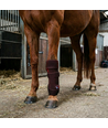 Guêtre de thérapie par lumière rouge pour cheval - jambes et articulations, infrarouge, rechargeable