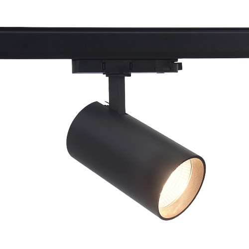 Spot sur rail triphasé 29W RA98 - 110lm/w, 38 degrés, noir