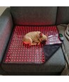 Tapis de luminothérapie pour chien et chat - rouge et proche infrarouge, 60x60 cm, 60W