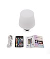 Lampe bouteille LED RGB rechargeable - Blanc, télécommande incl., IP54