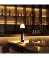 Lampe bouteille LED RGB rechargeable - Blanc, télécommande incl., IP54
