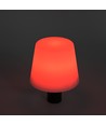 Lampe bouteille LED RGB rechargeable - Blanc, télécommande incl., IP54