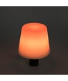 Lampe bouteille LED RGB rechargeable - Blanc, télécommande incl., IP54