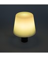 Lampe bouteille LED RGB rechargeable - Blanc, télécommande incl., IP54