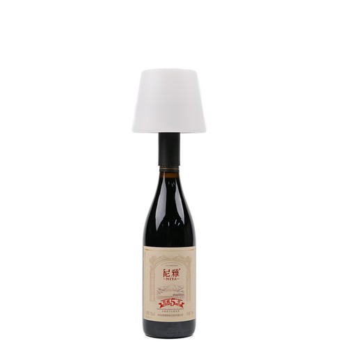Lampe bouteille LED RGB rechargeable - Blanc, télécommande incl., IP54
