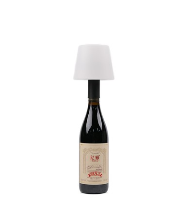 Lampe bouteille LED RGB rechargeable - Blanc, télécommande incl., IP54