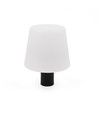 Lampe bouteille LED RGB rechargeable - Blanc, télécommande incl., IP54