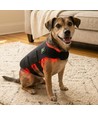 Gilet de luminothérapie pour chien et chat - infrarouge, avec batterie, 52x30 cm