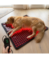 Tapis de luminothérapie pour chien et chat - rouge et proche infrarouge, 60x60 cm, 60W