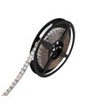 5m 19W/m Ruban LED RGB+CCT RA93 - 24V DC, 270 LED par mètre, IP20