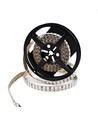 5m 19W/m Ruban LED RGB+CCT RA93 - 24V DC, 270 LED par mètre, IP20