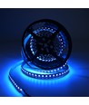 Ruban LED 10m 19W/m RGB+CCT RA93 - 24V DC, 270 LED/m, IP20