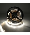 Ruban LED 10m 19W/m RGB+CCT RA93 - 24V DC, 270 LED/m, IP20