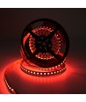 Ruban LED 10m 19W/m RGB+CCT RA93 - 24V DC, 270 LED/m, IP20