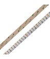 Ruban LED 10m 19W/m RGB+CCT RA93 - 24V DC, 270 LED/m, IP20