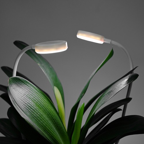 Lot de 2 Lampes de croissance flexibles avec piquet - 12W, timer, 40cm