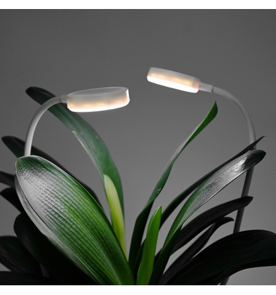 Lot de 2 Lampes de croissance flexibles avec piquet - 12W, timer, 40cm
