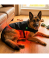 Couverture de luminothérapie pour chien - Infrarouge, avec powerbank, Grand modèle 80 x 40 cm