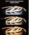 Ruban LED COB CCT 10m 10W/m RA97 - 24V DC, IP20, 576 LED par mètre