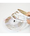 Ruban LED COB RGBWIC 5m - 24V DC, 784 LED 20W/m, IP20