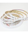 Ruban LED COB RGBWIC 5m - 24V DC, 784 LED 20W/m, IP20