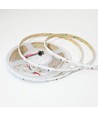 Ruban LED COB RGBWIC 5m - 24V DC, 784 LED 20W/m, IP20