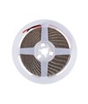 Ruban LED UV 400 nm 5m 10W/m - 24V DC, IP20, 120 LED par mètre