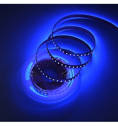 Ruban LED UV 400 nm 5m 10W/m - 24V DC, IP20, 120 LED par mètre