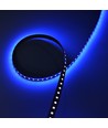 Ruban LED UV 400 nm 5m 10W/m - 24V DC, IP20, 120 LED par mètre