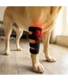 Guêtre de luminothérapie pour chiens - pattes & articulations, rouge/infrarouge, batterie