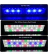 Rampe LED aquarium 75-93 cm - 22W, blanc/bleu/rouge/vert/violet, longueur réglable, IP66