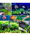 Rampe LED aquarium 75-93 cm - 22W, blanc/bleu/rouge/vert/violet, longueur réglable, IP66