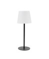 Lampe de table LED RGBW rechargeable solaire - Blanc, télécommande