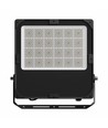 Projecteur LED 300W à puissance réglable - Éclairage asymétrique, IP66 extérieur, IK08, noir