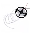Ruban LED COB 5m 9W/m Rouge sans points - 24V DC, IP67, 240 LED/m, 5 ans de garantie
