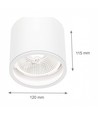 Plafonnier pour AR111 GU10 - Blanc, IP65 extérieur, Ø12cm, 11,5cm haut, aluminium, sans source lumineuse