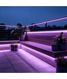 5m 9W/m Violet/rose Slim COB strip - 230V, IP67 étanche, 296 LED, sécable tous les 10cm