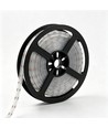 5m 13W/m RGB Dotless COB-LED strip - 24V DC, IP67, 576 LED par mètre