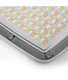 Projecteur LED 50W CCT - IP65, 3 couleurs de lumière, extérieur