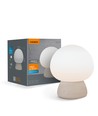 Lampe de table LED Champignon rechargeable - RGB + 3000K blanc froid, portable