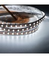 Ruban LED CCT 5m 9W/m RA95 - 24V DC, 400 LED/m, largeur 8mm, câble 2m