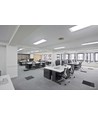Tube LED T5PRO85 84,9cm / 14W - Pour conversion