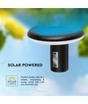 Borne LED solaire 2W avec capteur - IP54, 3000K, noir