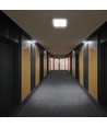 Plafonnier LED avec détecteur 12W, CCT - 3 teintes, capteur PIR, 6 ans de garantie, Cree, carré, blanc