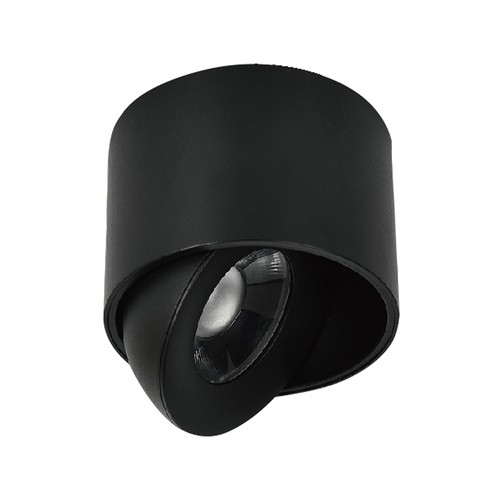 Spot LED saillant 12W - IP44, noir, CCT, puce Cree