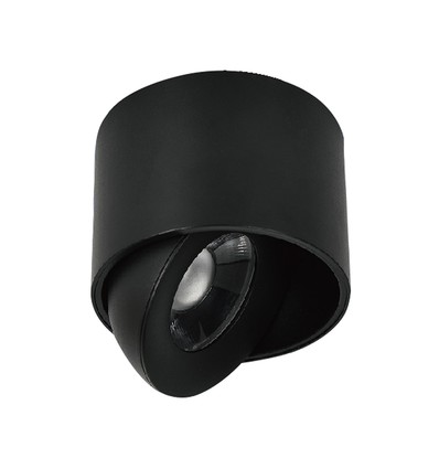 Spot LED saillant 12W - IP44, noir, CCT, puce Cree
